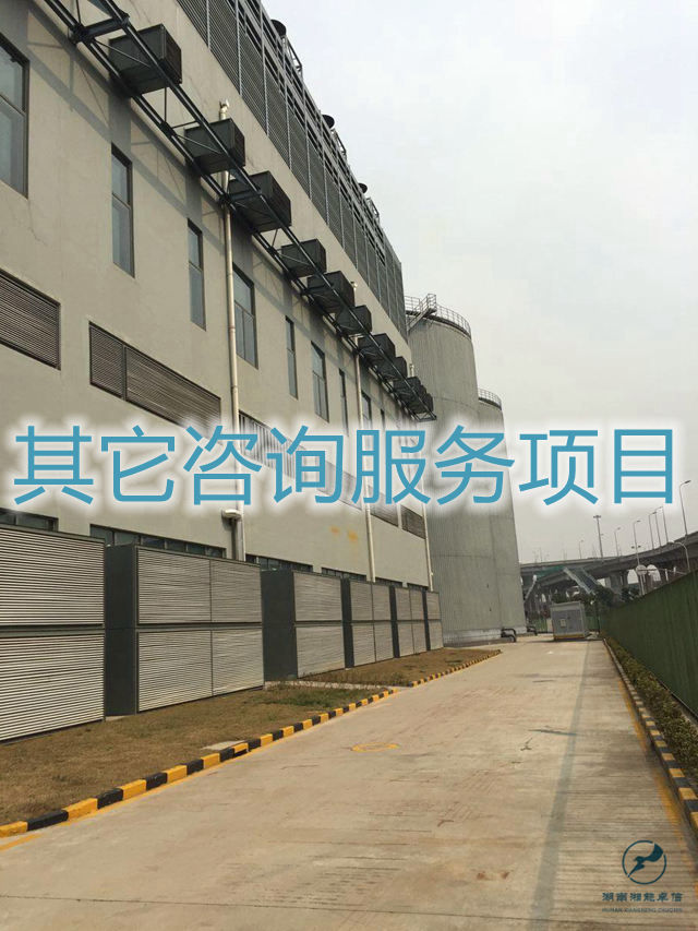 其它咨詢服務(wù)項目